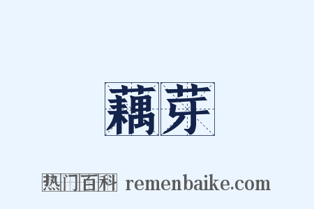 藕芽是什么意思的图片